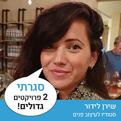 שירן לידור - סטודיו לעיצוב פנים